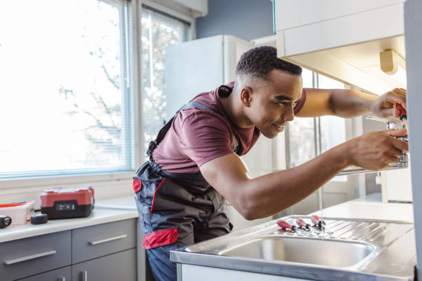Best Local Plumber Services  in Santaquin, UT